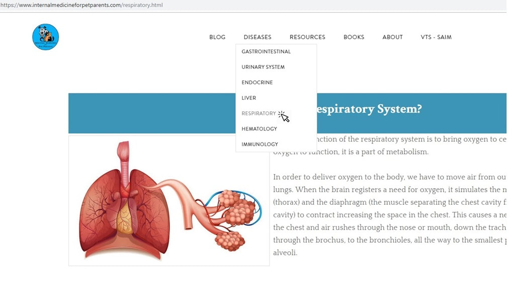 Respiratory Page on IMFPP Website