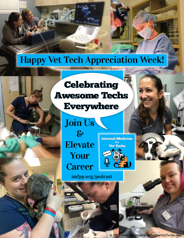 Happy Vet Tech Appreciation Week! INTERNAL MEDICINE FOR PET PARENTS