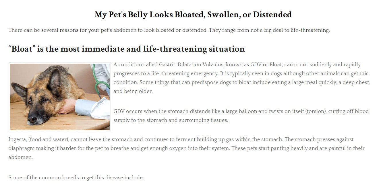Image of Belly Bloat, Swelling, or Distention page