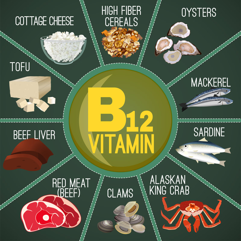 Foods rich in Vitamin B12
