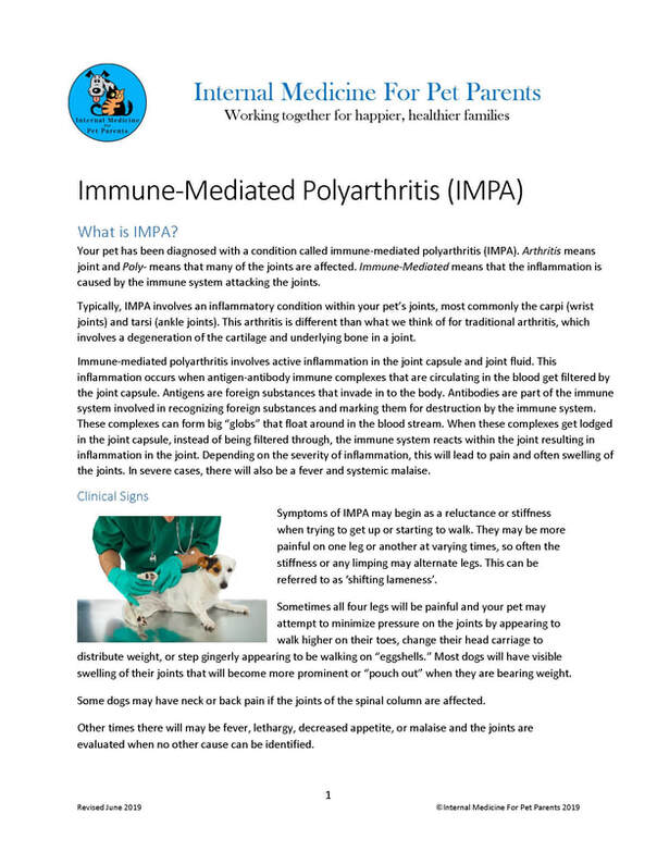 Immune Mediated Polyarthritis Internal Medicine For Pet Parents