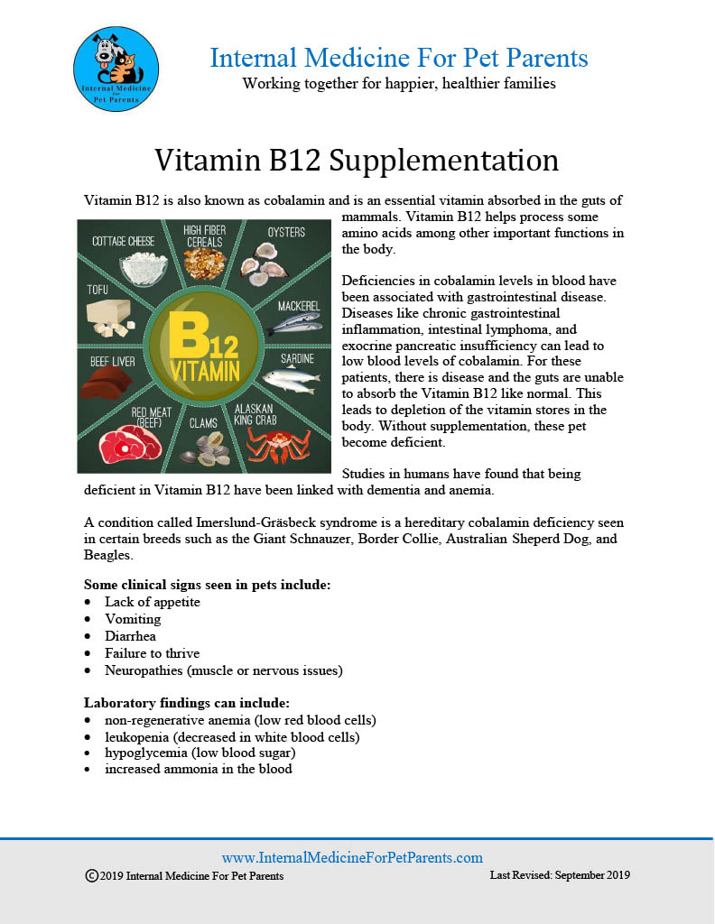 Vitamin B12 Supplementation Internal Medicine For Pet Parents